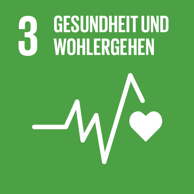 SDG icon DE 03