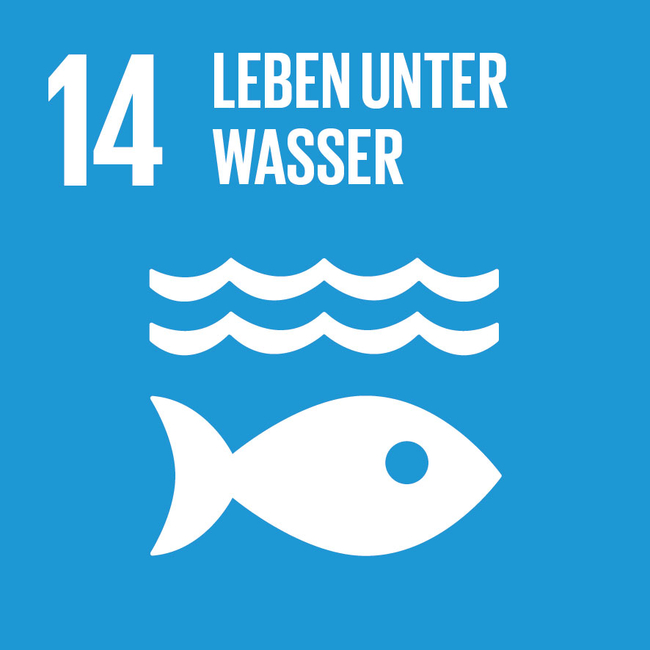 SDG icon DE 14